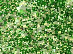 Farm management program earns $2.4 million grant, seeks participants