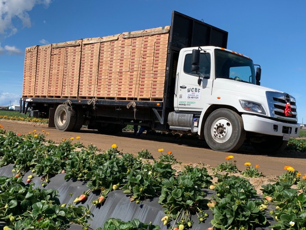 Berry donations to schools puts Bobalu Berries in position to help