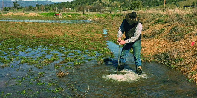 Agriculture assumes huge stake in future water availability