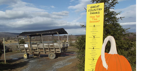 Virginia farm relies on ‘huge’ CSA program
