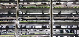 A vertical stack of growing platforms at one of Bowery’s farms.