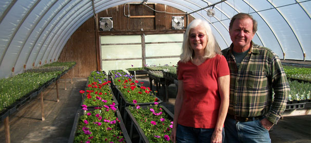 Returning vets to get agriculture training