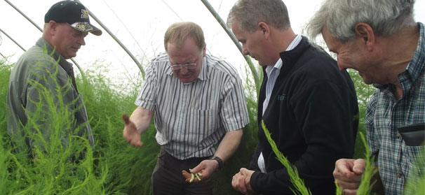 Haygrove winner plans to ‘retire’ to farming life