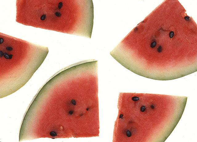 Charleston Gray watermelon’s genome sequenced