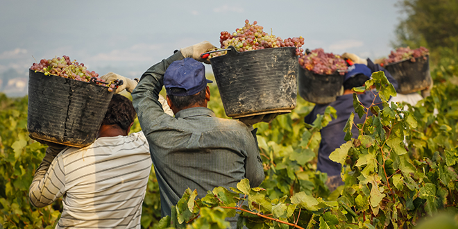 Ag labor alert: April NCAE webinar on Interim Final Rule changes