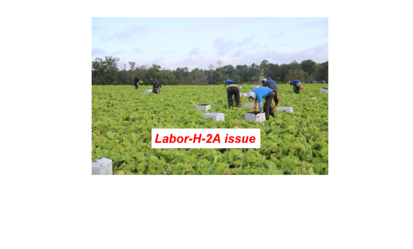 Labor forum highlights 2024, future successes