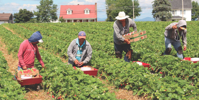 Survey seeks responses to COVID-19 workplace impacts in California