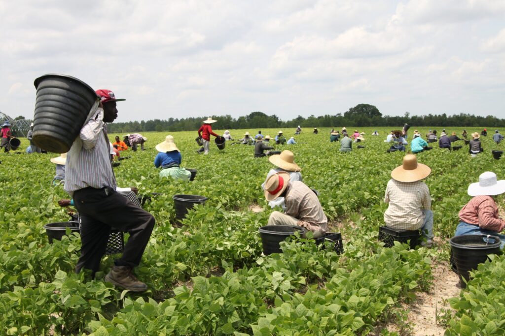 Collection of H-2A certification fees to be temporarily suspended