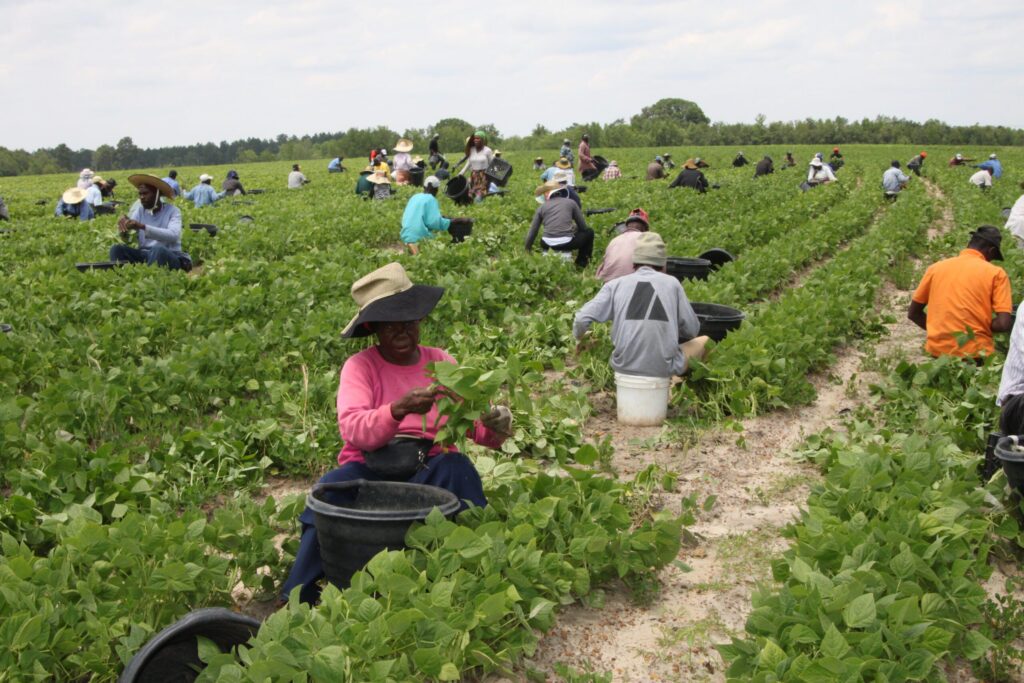 National ag groups applaud AEWR decision