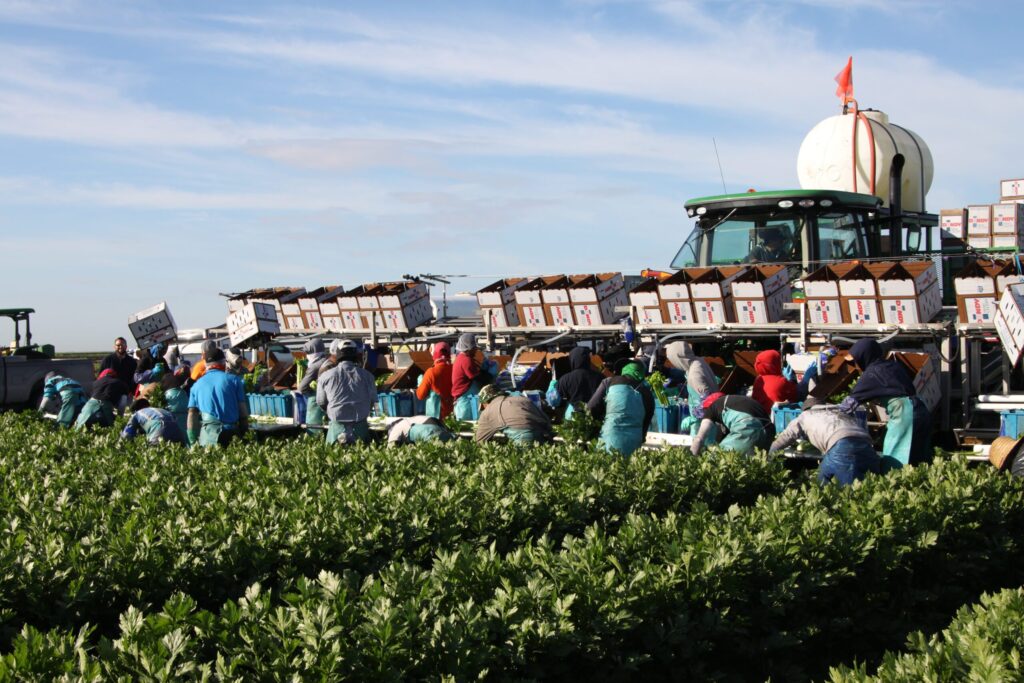 Shifting labor landscape: Actions spark optimism for long-term reform