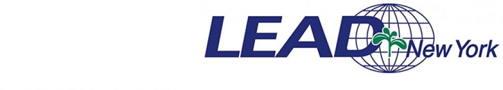 Seminar offerings paused by LEAD New York program