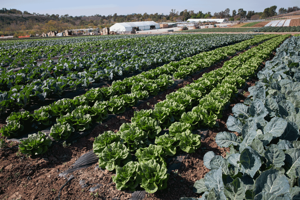 California farmers face new regulations in 2026 from agritourism to wages