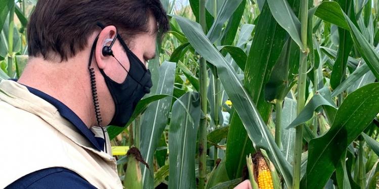 Startup in NY Finger Lakes works on voice-to-data app for growers