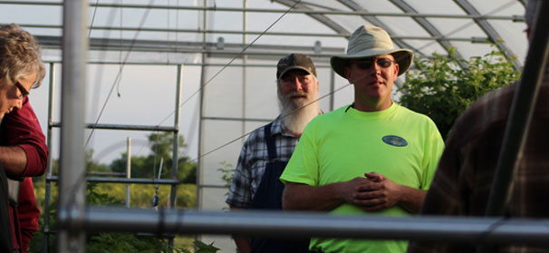 Knowing best applications for tunnels, greenhouses