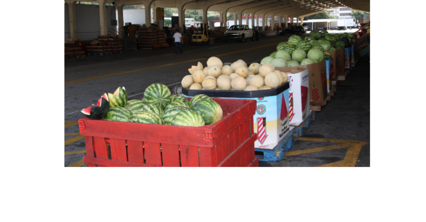 Melon growers prepare for the holiday