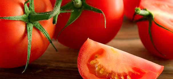 Goodwill in negotiation of Mexican fresh tomato imports