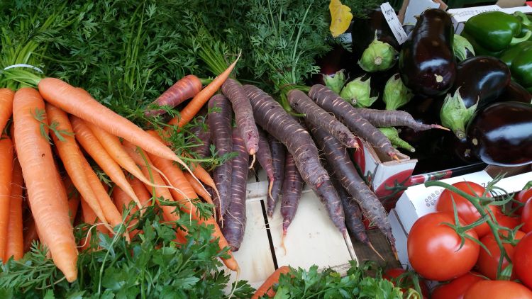 First Michigan vegetable report for 2024 released