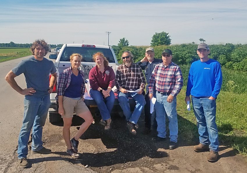 Onion growers put skin in the game, earn IPM award