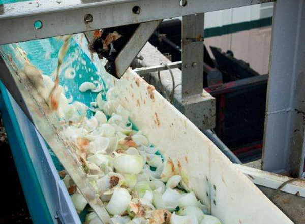 Gills Onions adds to its sustainable power initiative