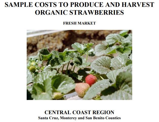 UC study breaks down costs of growing organic strawberries