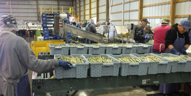 Florida’s minimum wage hike: 5 things employers should know