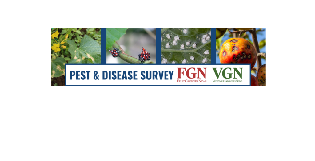 What are the biggest pests and diseases affecting you the most?