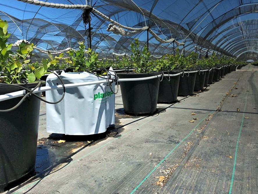 Plantlogic launches container product for hydroponic vegetables