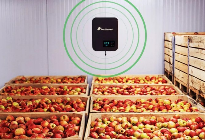 Global Impact Challenge finalists named