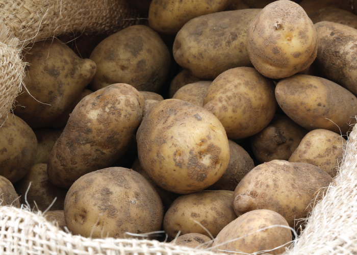 Spudman: Michigan grower named National Potato Council president