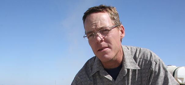 California growers fighting tomato bindweed