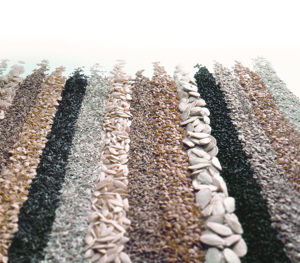 seeds-Enza Zaden