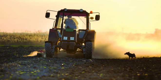 Farm labor harder to find than it was 50 years ago
