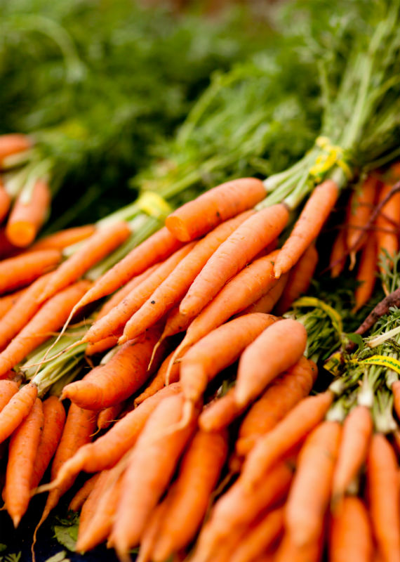 Section 18 issued for Nimitz 480EC use in Michigan carrots