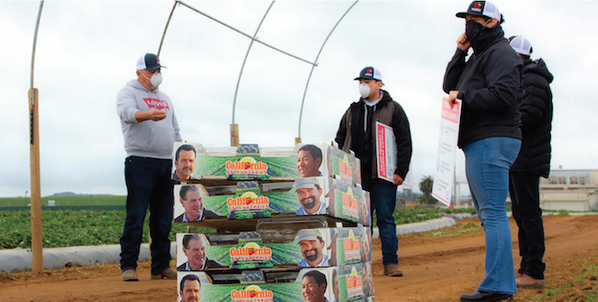 Growers strive for safe workplaces during pandemic