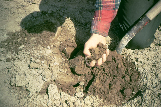 Climate and soil experts release soil carbon data technology