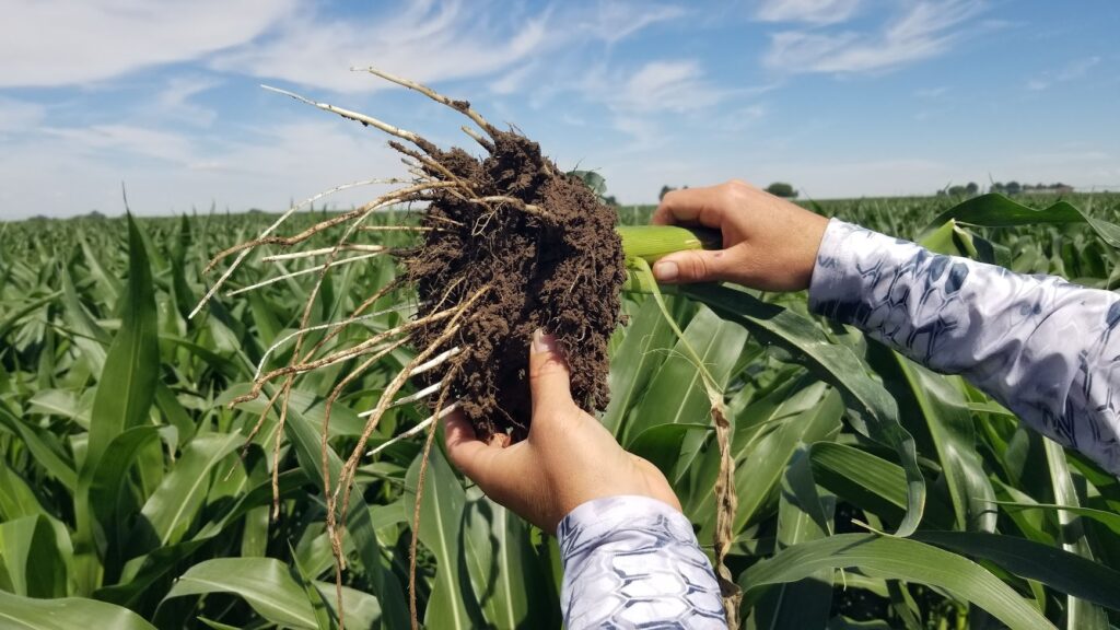 Growers learn about adopting regenerative practices