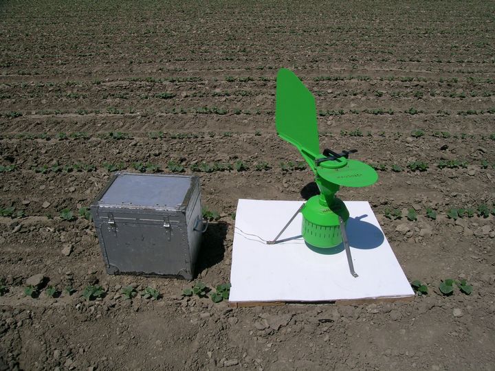 Cucumber downy mildew update on spore detection in Michigan