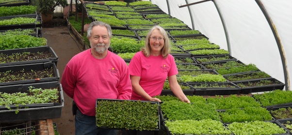 Grants give farms kick-start to expand with value-added products