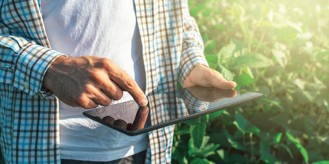 How to implement e-commerce in a food or farm operation