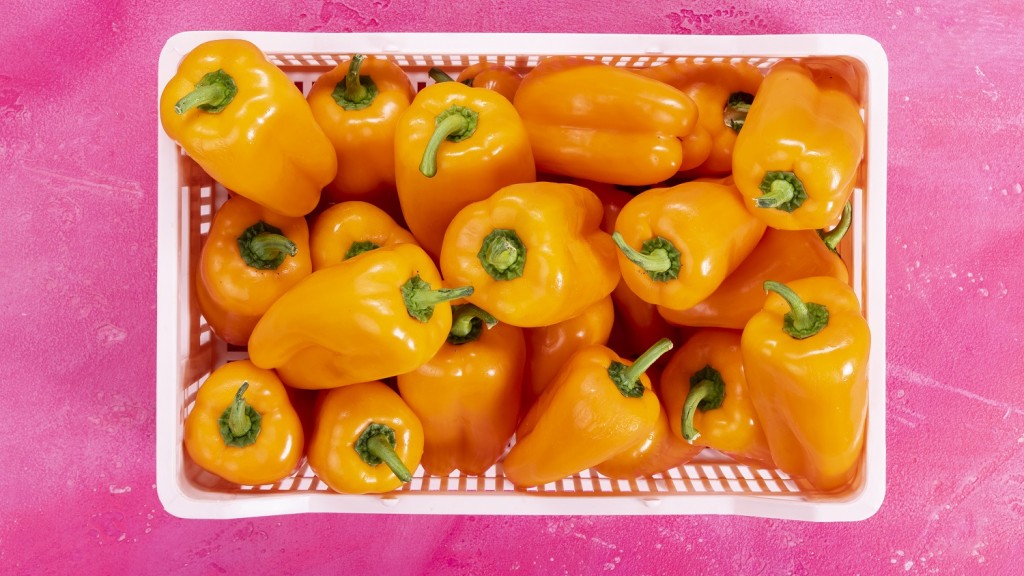Rijk Zwaan’s Tatayoyo pepper takes top Fruit Logistica award