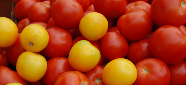 Tomatoes at the center of growing trade dispute