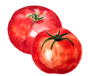 tomatoes_stock
