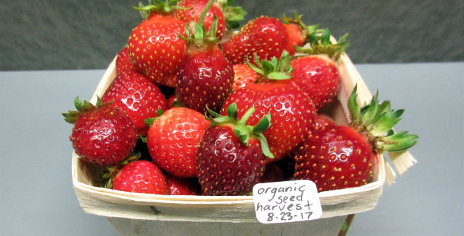 Sales of organic food grew nearly 13% to more than $56 billion