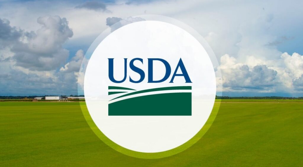 Price spreads explained: What USDA’s 2024 farm-to-retail data means for specialty crop growers