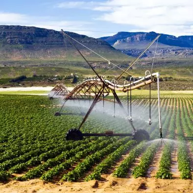 Report: too much, too little water creates ag risks