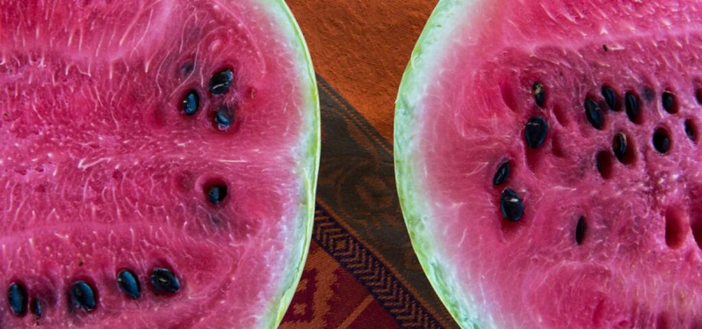 Watermelon powder found healthy in mice study