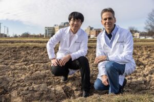 Researchers unlock how plants regulate root growth