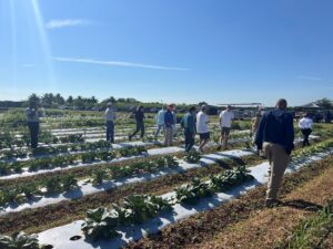 Food is Medicine: growers explore edamame, ube as UF program expands crop diversity
