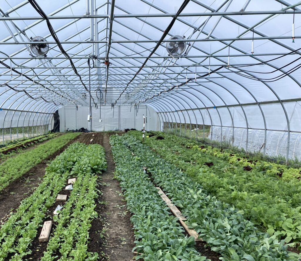 All about high tunnels: On-farm abiotic conditions research