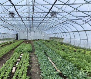 All about high tunnels: On-farm abiotic conditions research